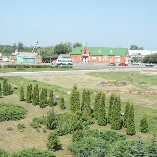 Виды Краснозоренского сельского поселения
