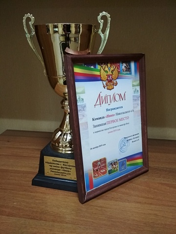 Команда "Ника" Никольского сельского поселения заняла первое место в первенстве города Костромы по мини-футболу сезона 2019 года