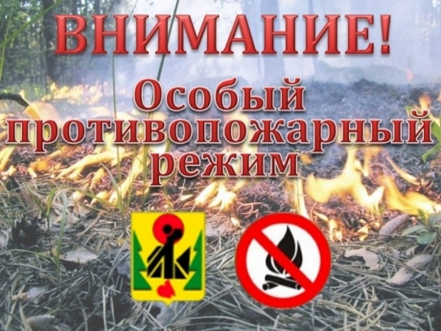 С 1 апреля 2020 года на территории Воронежской области установлен особый противопожарный режим.