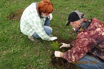 Администрация Никольского сельского поселения присоединялась к международной акции «Сад памяти».