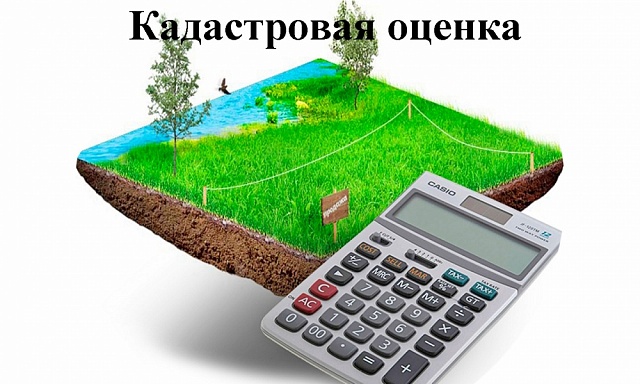 Краевое БТИ информирует О  проведении государственной кадастровой оценки на территории Краснодарского края в 2019 и 2020 годах