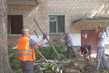 Дворники группы хозяйственного обслуживания и благоустройства собирают ветки около заброшенной квартиры на 1мкр.