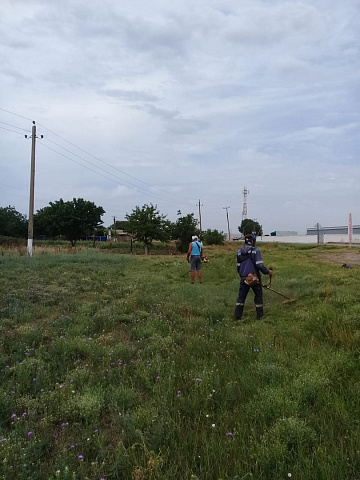 На территории Камышеватского сельского поселения работниками МУ "Забота" ежедневно проводятся санитарные работы, покос травы, сбор мусора. 