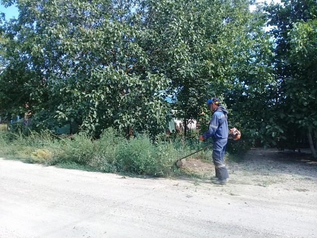 Работниками МУ "Забота" проводится покос придворовых домовладений с сорной растительностью (амброзия).