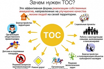 Территориальное общественное самоуправление Воронежской области