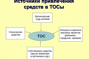 Территориальное общественное самоуправление Воронежской области