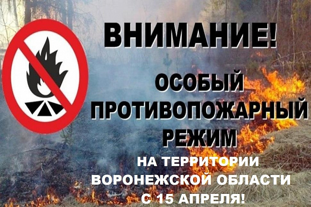 С 15 апреля 2021 года постановлением правительства Воронежской области устанавливается особый противопожарный режим