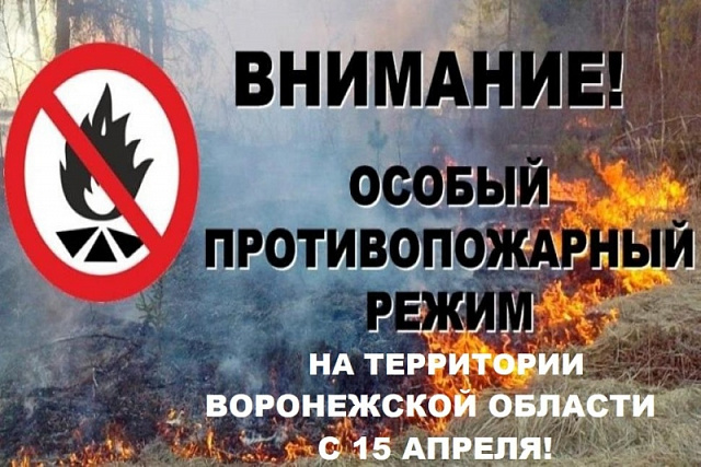 С 07 апреля 2021 года постановлением правительства Воронежской области №166  установлен особый противопожарный режим. На территории Пыховского сельского поселения запрещено сжигание сухой травы  и поросли, а также запрещён  въезд в хвойные леса, за исключ