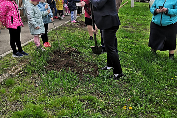 В рамках проекта "Сад Памяти", на территории Ясенского сельского поселения продолжается высадка деревьев.