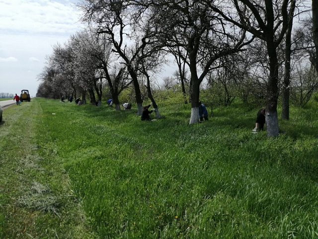 28 и 29 апреля на территории Камышеватского сельского поселения состоялся очередной субботник.