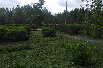 В сельском поселении "Село Заречный" с 17.05.2021г.,  начался покос травы.