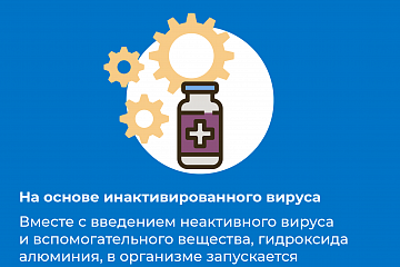 Какие есть российские вакцины против короновируса и в чем их отличия?