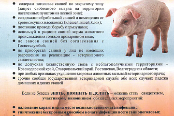 Африканская чума свиней