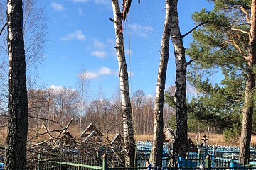 В сельском поселении "Село Заречный" производится спил деревьев