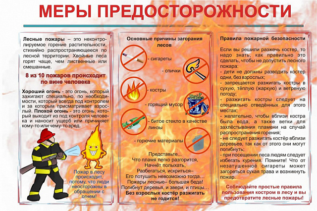Меры предосторожности разведения огня в лесу
