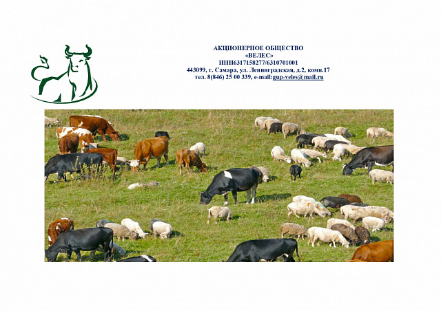 Программа развития животноводства