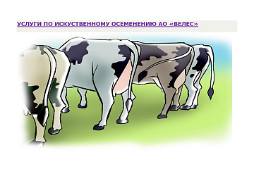 Программа развития животноводства