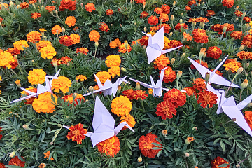 Мастер-класс по изготовлению оригами "Журавлик - символ мира"