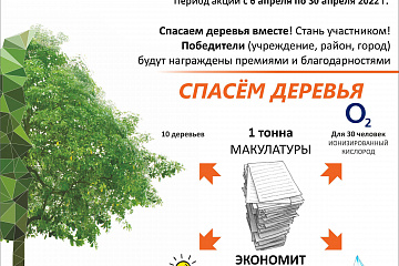 Осенью 2022 года в Воронежской области стартует Всероссийский Эко-марафон ПЕРЕРАБОТКА «Сдай макулатуру – спаси дерево»