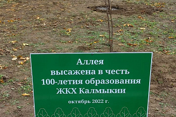 Высадка Аллеи в честь 100-летия образования ЖКХ Калмыкии