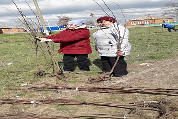 03 мая 2023 года в Куйбышевском сельском поселении прошла акция «Посади дерево».
