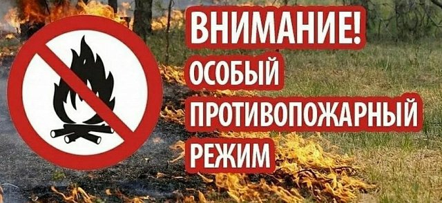 Постановлением Правительства Кировской области от 15.08.2023 № 436-П установлен особый противопожарный режим