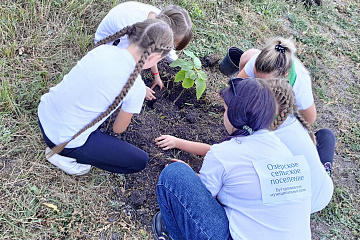 16 сентября в с.Озёрки Бутурлиновского района  был реализован  Проект  «Вместе посадим дерево» в конкурсе инициатив физических лиц  "Родные берега"