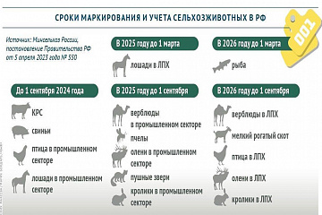 ГБУ КО «Жуковская ветстанция» доводит до Вашего сведения что с 1 марта 2024года в силу вступают новые правила маркирования и учета животных в ветеринарии